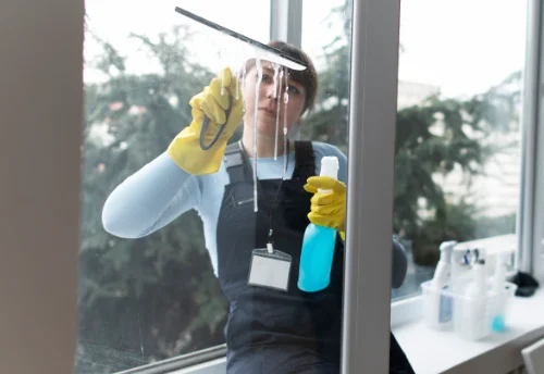 Nettoyage de vitres intérieures et extérieures à Bort-l'Étang